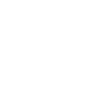 drawing of Shields by Grizzly Bear